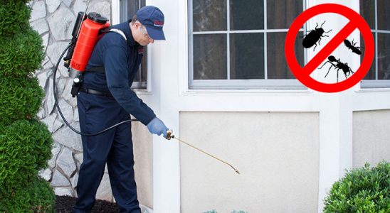Bolvadin Böcek İlaçlama böcek ilaçlama ve haşere kontrolü — ilaclama-tr.com